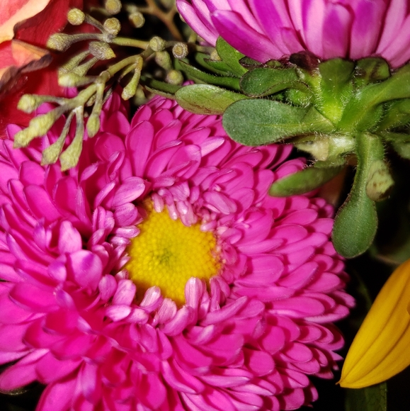 Meet your Posher, Katie - Picture 4 of 7